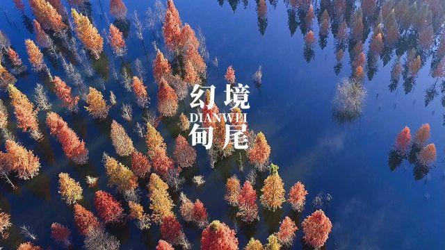 动物帮帮忙保卫家园
