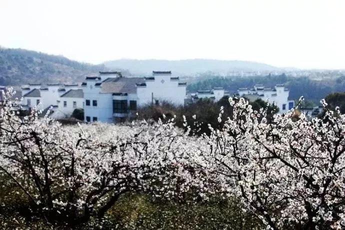 老公经常出差不归,怎么办呢?- 知识问答网站,专注解决你的疑问